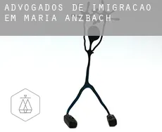 Advogados de imigração em  Maria-Anzbach