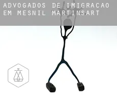 Advogados de imigração em  Mesnil-Martinsart
