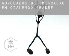 Advogados de imigração em  Odalengo Grande