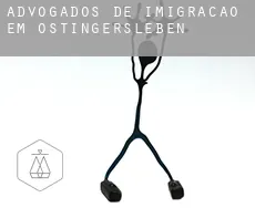 Advogados de imigração em  Ostingersleben