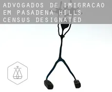 Advogados de imigração em  Pasadena Hills