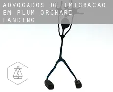 Advogados de imigração em  Plum Orchard Landing
