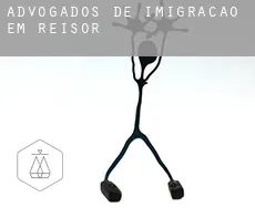 Advogados de imigração em  Reisor