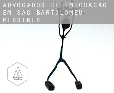 Advogados de imigração em  São Bartolomeu de Messines