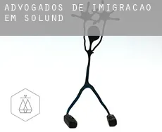 Advogados de imigração em  Solund