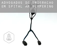 Advogados de imigração em  Spital am Semmering