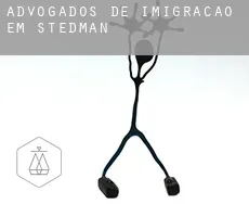 Advogados de imigração em  Stedman