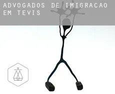 Advogados de imigração em  Tevis