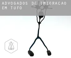 Advogados de imigração em  Tufo