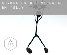 Advogados de imigração em  Tully