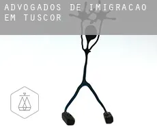 Advogados de imigração em  Tuscor
