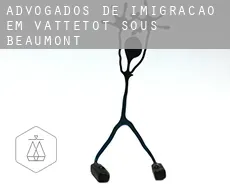 Advogados de imigração em  Vattetot-sous-Beaumont