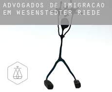 Advogados de imigração em  Wesenstedter Riede