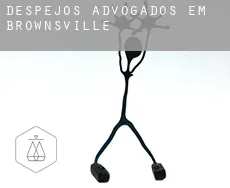 Despejos advogados em  Brownsville