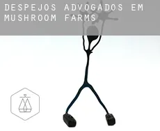 Despejos advogados em  Mushroom Farms