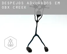 Despejos advogados em  O.B.X. Creek