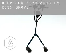 Despejos advogados em  Ross Grove