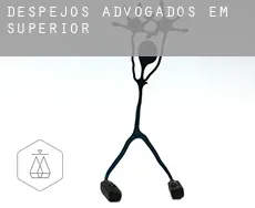 Despejos advogados em  Superior