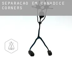 Separação em  Canadice Corners