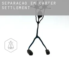Separação em  Carter Settlement