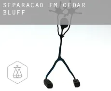 Separação em  Cedar Bluff