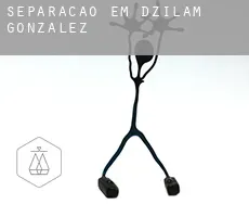 Separação em  Dzilam González