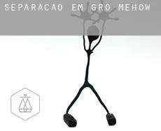 Separação em  Groß Mehßow