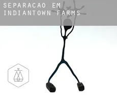 Separação em  Indiantown Farms