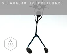 Separação em  Pritchard