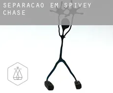 Separação em  Spivey Chase
