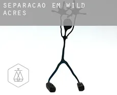 Separação em  Wild Acres