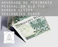 Advogado de ferimento pessoal em  Old Fig Garden