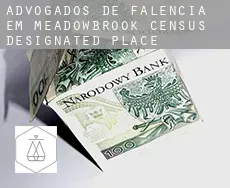 Advogados de falência em  Meadowbrook