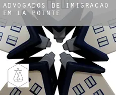 Advogados de imigração em La Pointe