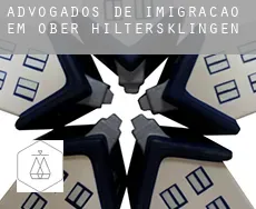 Advogados de imigração em Ober-Hiltersklingen