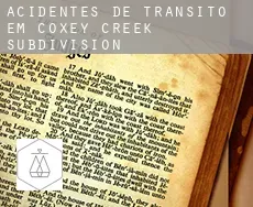 Acidentes de trânsito em  Coxey Creek Subdivision