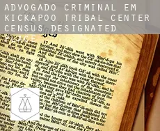 Advogado criminal em  Kickapoo Tribal Center