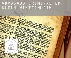 Advogado criminal em  Klein-Winternheim