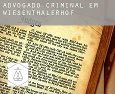 Advogado criminal em  Wiesenthalerhof