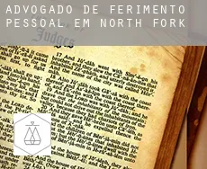 Advogado de ferimento pessoal em  North Fork