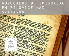 Advogados de imigração em  Bílovice nad Svitavou