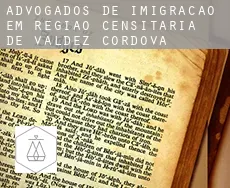 Advogados de imigração em  Região Censitária de Valdez-Cordova