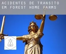 Acidentes de trânsito em  Forest Home Farms
