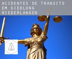 Acidentes de trânsito em  Siedlung Niederlangen
