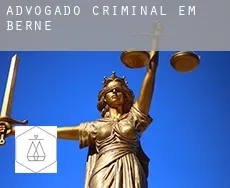 Advogado criminal em Berné