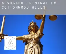 Advogado criminal em  Cottonwood Hills
