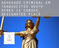 Advogado criminal em  Tanquecitos South Acres II