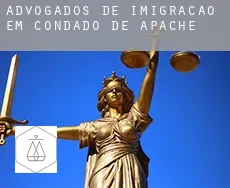 Advogados de imigração em Condado de Apache