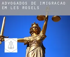 Advogados de imigração em  Les Rosels