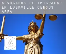 Advogados de imigração em  Luskville (census area)